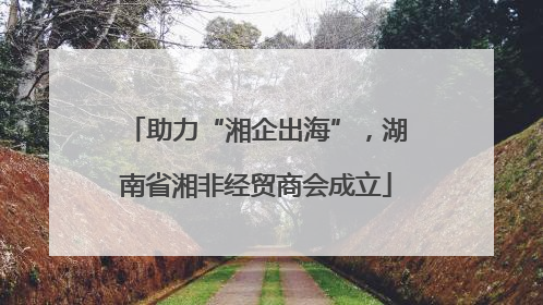 助力“湘企出海”，湖南省湘非经贸商会成立