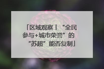 区域观察丨“全民参与+城市荣誉”的“苏超”能否复制