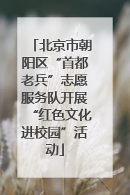 北京市朝阳区“首都老兵”志愿服务队开展“红色文化进校园”活动