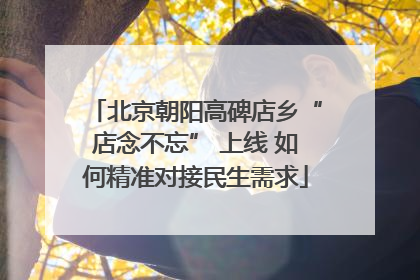北京朝阳高碑店乡“店念不忘” 上线 如何精准对接民生需求