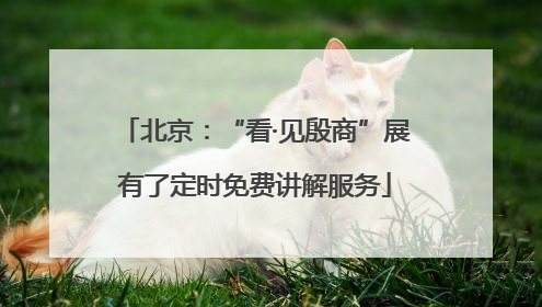 北京：“看·见殷商”展有了定时免费讲解服务