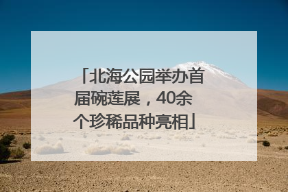 北海公园举办首届碗莲展，40余个珍稀品种亮相