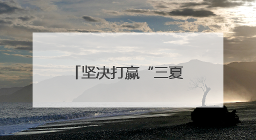 坚决打赢“三夏”攻坚战丨麦穗沉甸甸 粮安稳当当——省委一号文件系列解读①