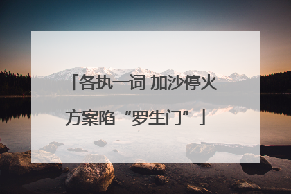 各执一词 加沙停火方案陷“罗生门”