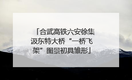 合武高铁六安徐集汲东特大桥“一桥飞架”图景初具雏形