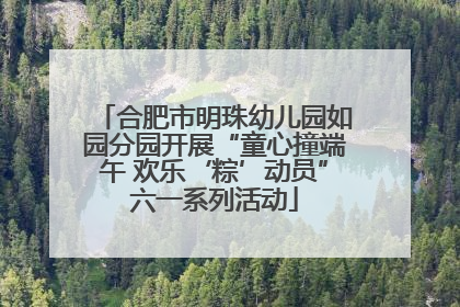 合肥市明珠幼儿园如园分园开展“童心撞端午 欢乐‘粽’动员”六一系列活动
