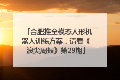 合肥推全模态人形机器人训练方案，请看《浪尖周报》第29期