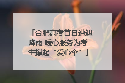 合肥高考首日遭遇降雨 暖心服务为考生撑起“爱心伞”