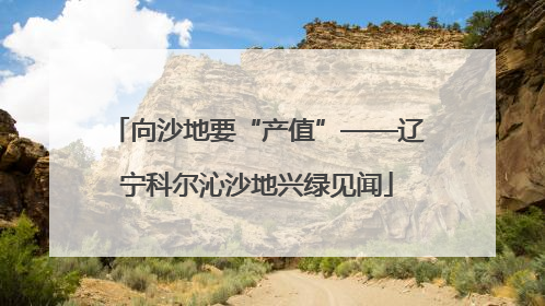 向沙地要“产值”——辽宁科尔沁沙地兴绿见闻