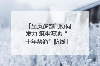 呈贡多部门协同发力 筑牢滇池“十年禁渔”防线