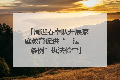 周迎春率队开展家庭教育促进“一法一条例”执法检查