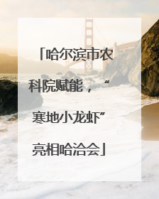 哈尔滨市农科院赋能，“寒地小龙虾”亮相哈洽会
