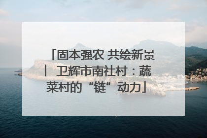 固本强农 共绘新景 ︳卫辉市南社村：蔬菜村的“链”动力