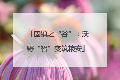 固镇之“谷”：沃野“智”变筑粮安