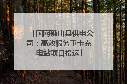 国网确山县供电公司：高效服务重卡充电站项目投运