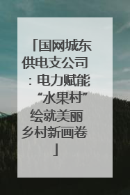 国网城东供电支公司：电力赋能“水果村” 绘就美丽乡村新画卷
