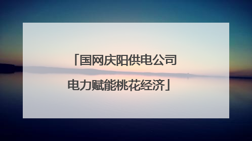 国网庆阳供电公司电力赋能桃花经济