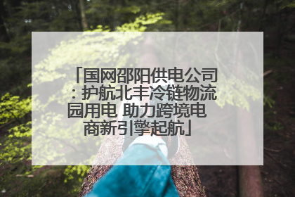 国网邵阳供电公司：护航北丰冷链物流园用电 助力跨境电商新引擎起航