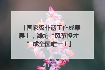 国家级非遗工作成果展上，潍坊“风筝怪才”成全国唯一！