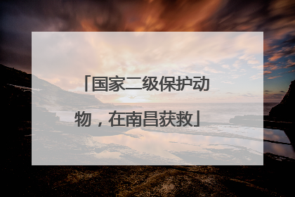国家二级保护动物，在南昌获救