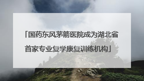 国药东风茅箭医院成为湖北省首家专业复学康复训练机构