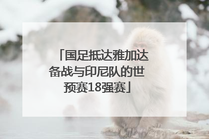 国足抵达雅加达备战与印尼队的世预赛18强赛