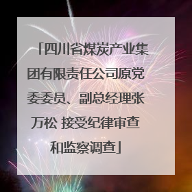 四川省煤炭产业集团有限责任公司原党委委员、副总经理张万松 接受纪律审查和监察调查