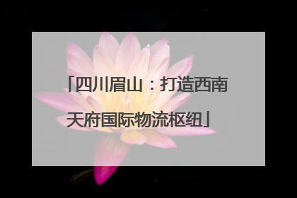 四川眉山：打造西南天府国际物流枢纽