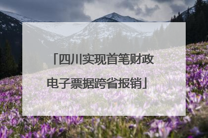 四川实现首笔财政电子票据跨省报销