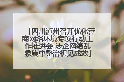 四川泸州召开优化营商网络环境专项行动工作推进会 涉企网络乱象集中整治初见成效