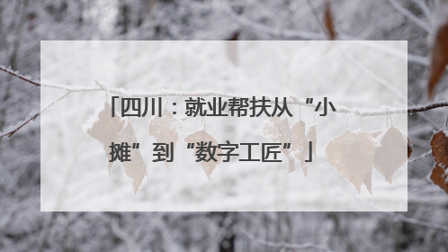 四川：就业帮扶从“小摊”到“数字工匠”