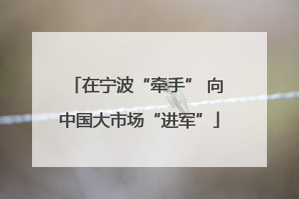 在宁波“牵手” 向中国大市场“进军”