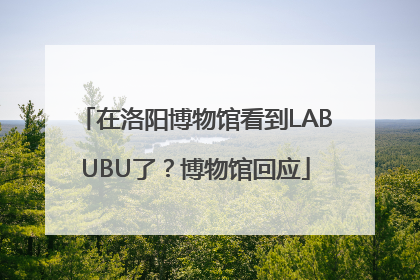 在洛阳博物馆看到LABUBU了？博物馆回应