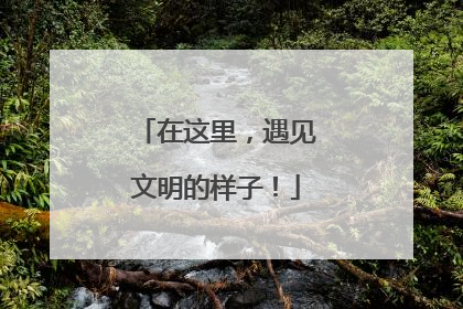 在这里，遇见文明的样子！