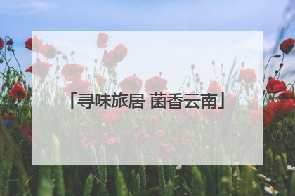 寻味旅居 菌香云南