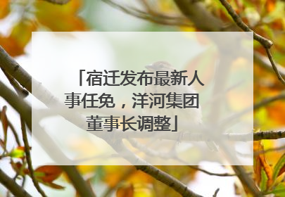 宿迁发布最新人事任免，洋河集团董事长调整