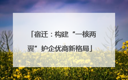 宿迁：构建“一核两翼”护企优商新格局