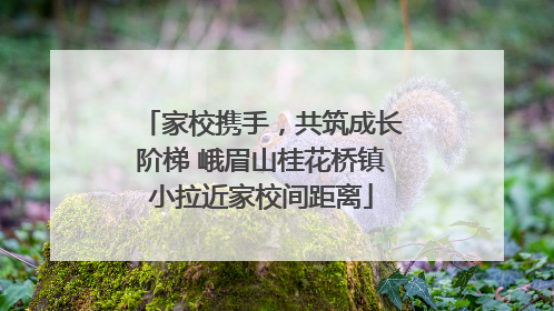 家校携手，共筑成长阶梯 峨眉山桂花桥镇小拉近家校间距离