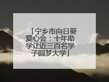 宁乡市向日葵爱心会：十年助学让近三百名学子圆梦大学