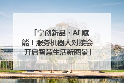 宁创新品・AI 赋能！服务机器人对接会开启智慧生活新图景