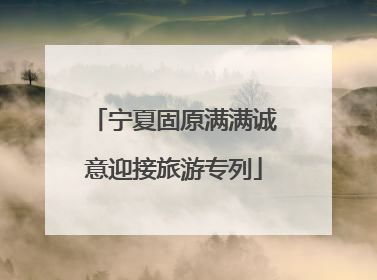 宁夏固原满满诚意迎接旅游专列