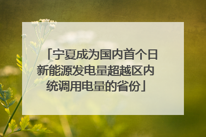 宁夏成为国内首个日新能源发电量超越区内统调用电量的省份