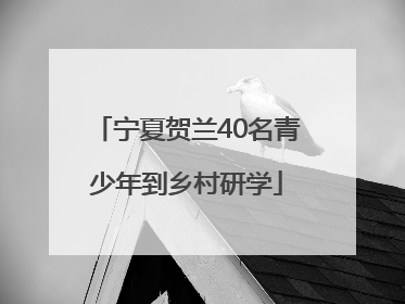 宁夏贺兰40名青少年到乡村研学