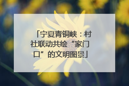 宁夏青铜峡：村社联动共绘“家门口”的文明图景