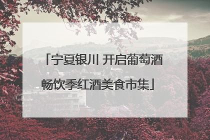 宁夏银川 开启葡萄酒畅饮季红酒美食市集