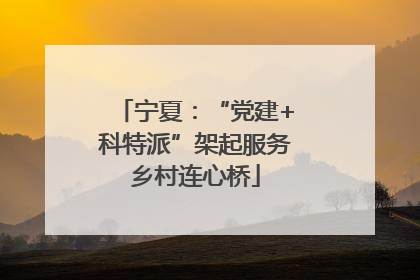 宁夏：“党建+科特派”架起服务乡村连心桥