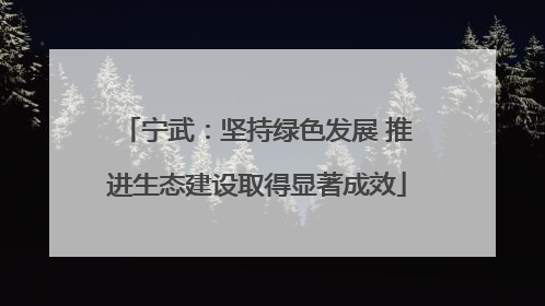 宁武：坚持绿色发展 推进生态建设取得显著成效