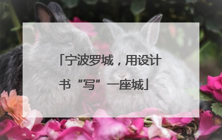 宁波罗城，用设计书“写”一座城