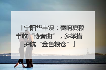 宁阳华丰镇：奏响夏粮丰收“协奏曲”，多举措护航“金色粮仓”