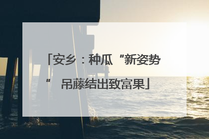 安乡：种瓜“新姿势” 吊藤结出致富果